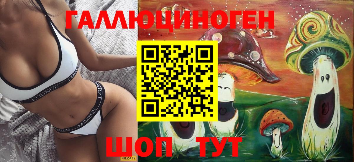 что такое наркотик  Вход с VPN  Биробиджан  Псилоцибиновые грибы Psilocybe 