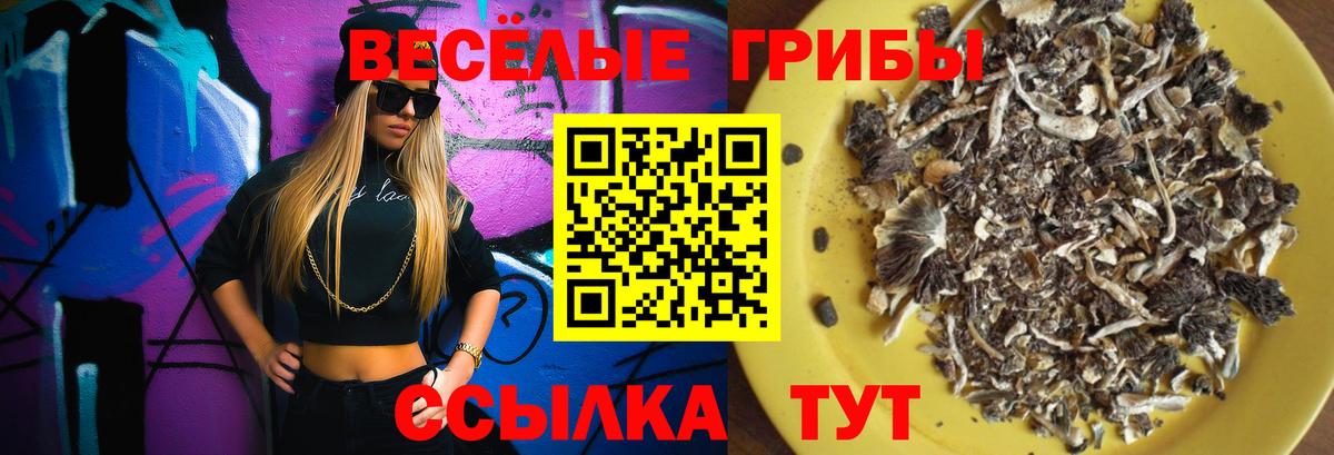 Псилоцибиновые грибы Psilocybe Биробиджан